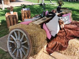 Holzplanken Stehkube klein 0